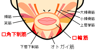 床矯正